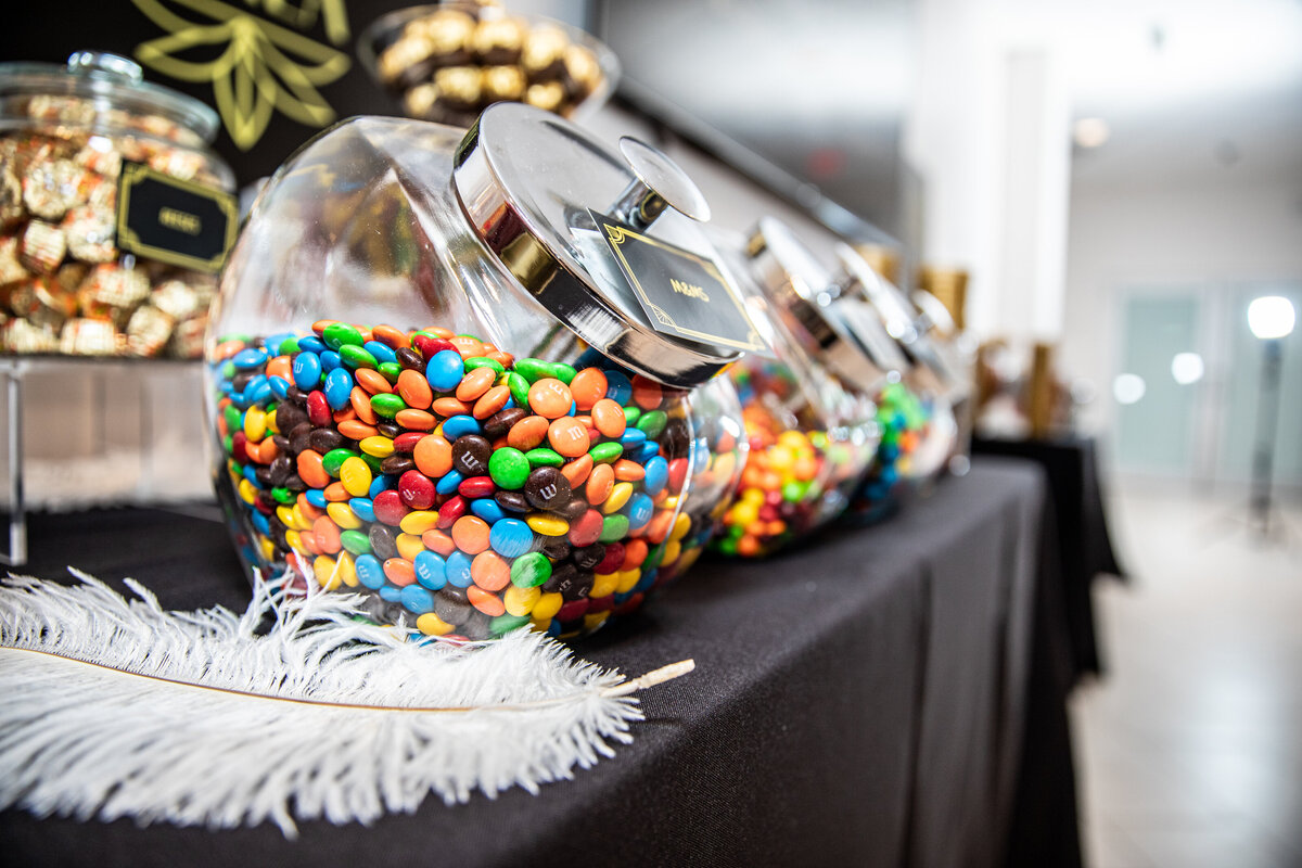 Lakewood Center Gala by Party Perfect Lakewood Gala-1330
