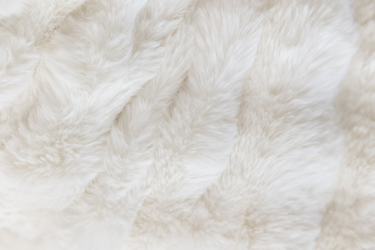 Christmas at EP_2025_074