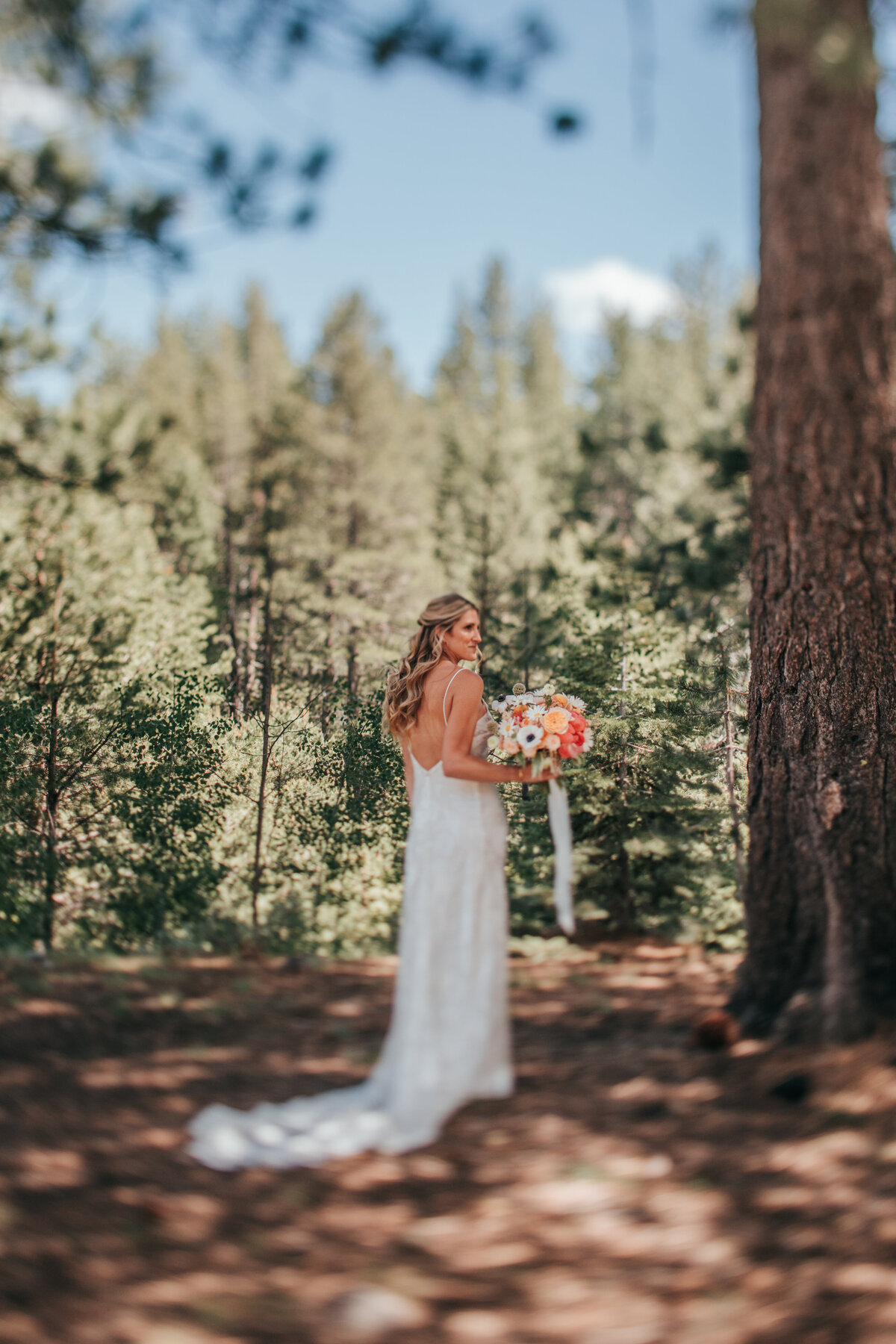 revel_and_rye_event_co_wedding_and_event_planning_and_design_tahoe_colorado_mountain_wedding_and_planning_dancingpines_dancing_pines_littletruckeeriver_littletruckee_truckee_lostsierras_sierranevadas_13