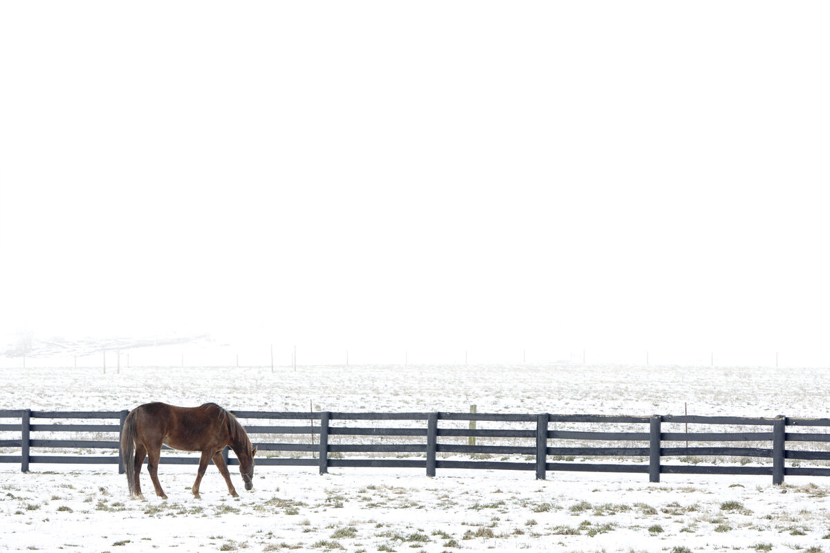20130202_PROJECT_0043_01