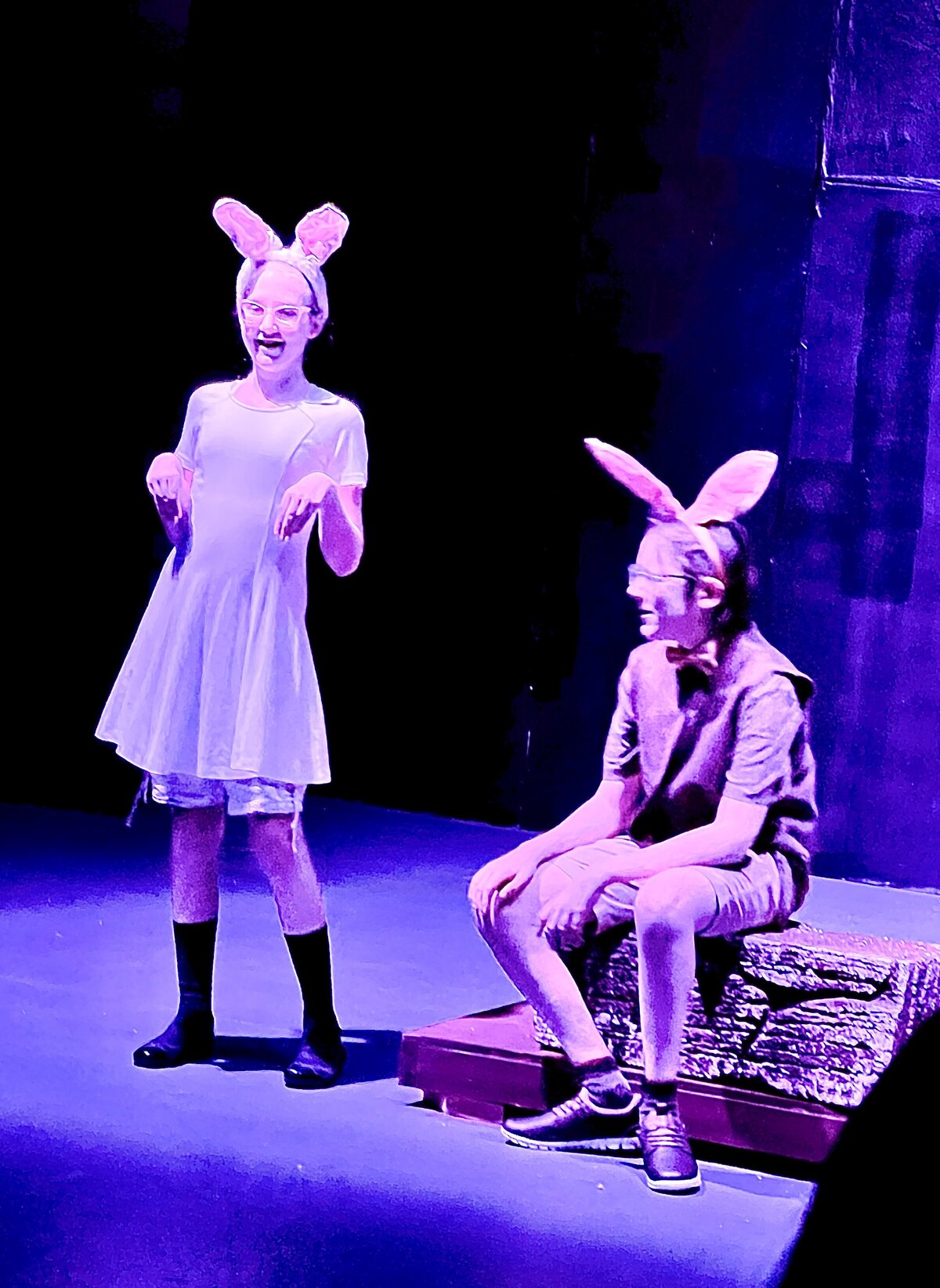 Velveteen Rabbit Nov 2023-5