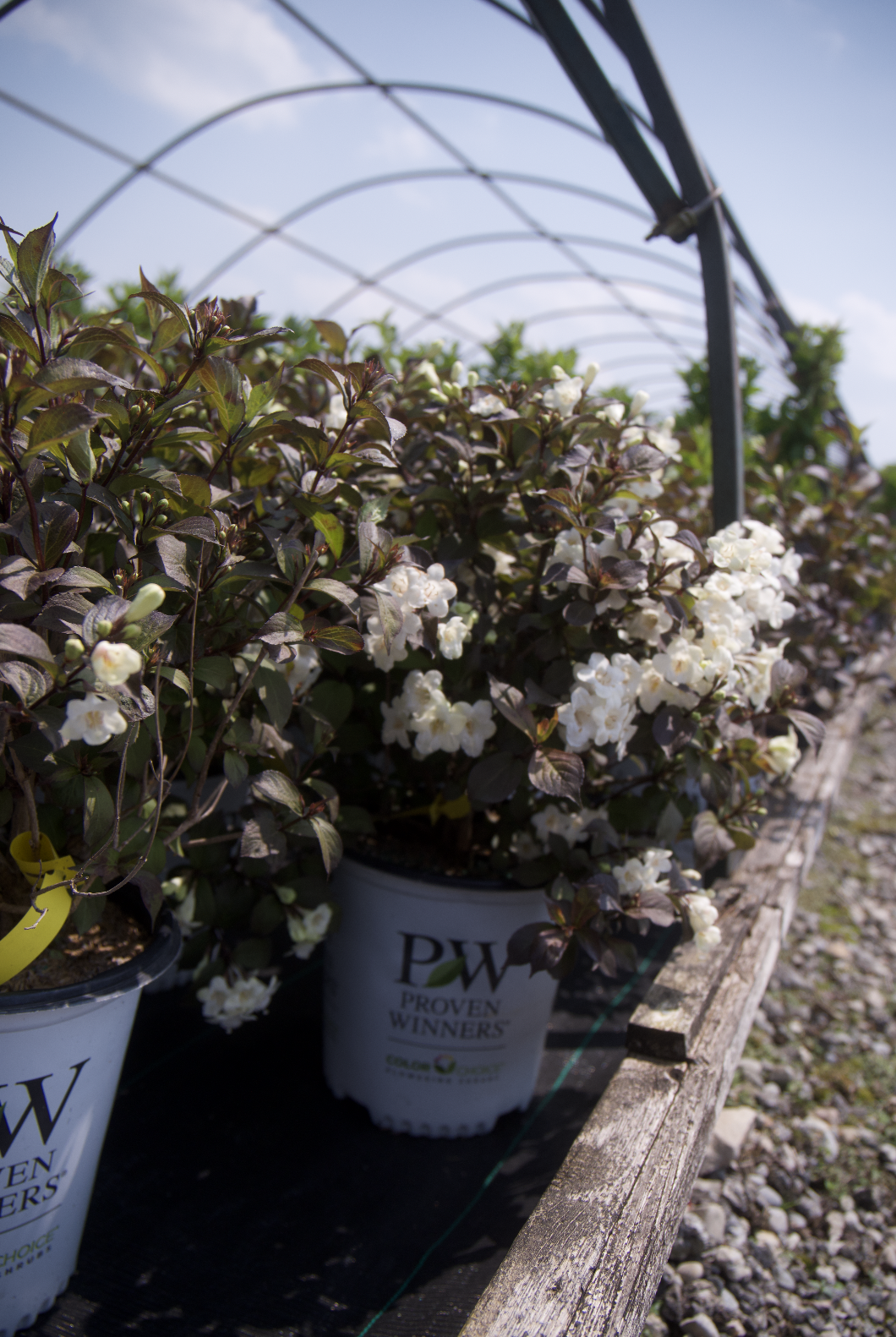 Screenshot 2025-07-21 at 10.54.40 AM