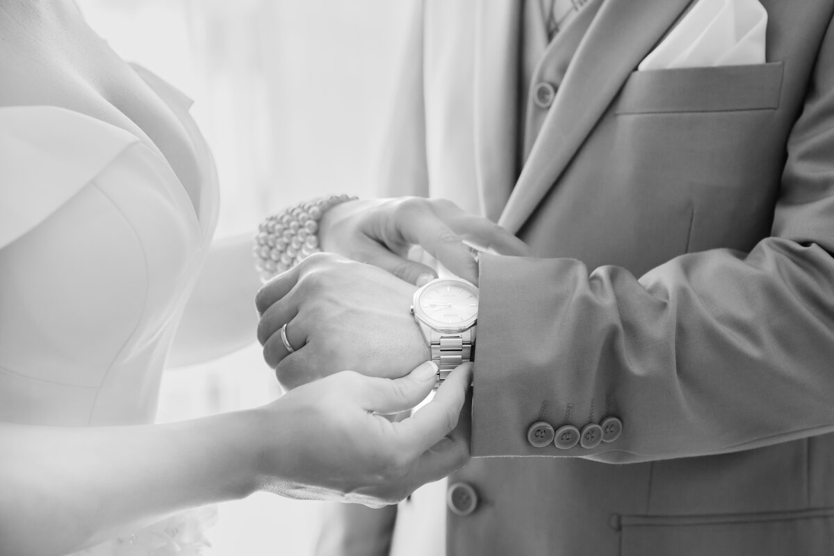 wedding-appleton-wisconin-the-513