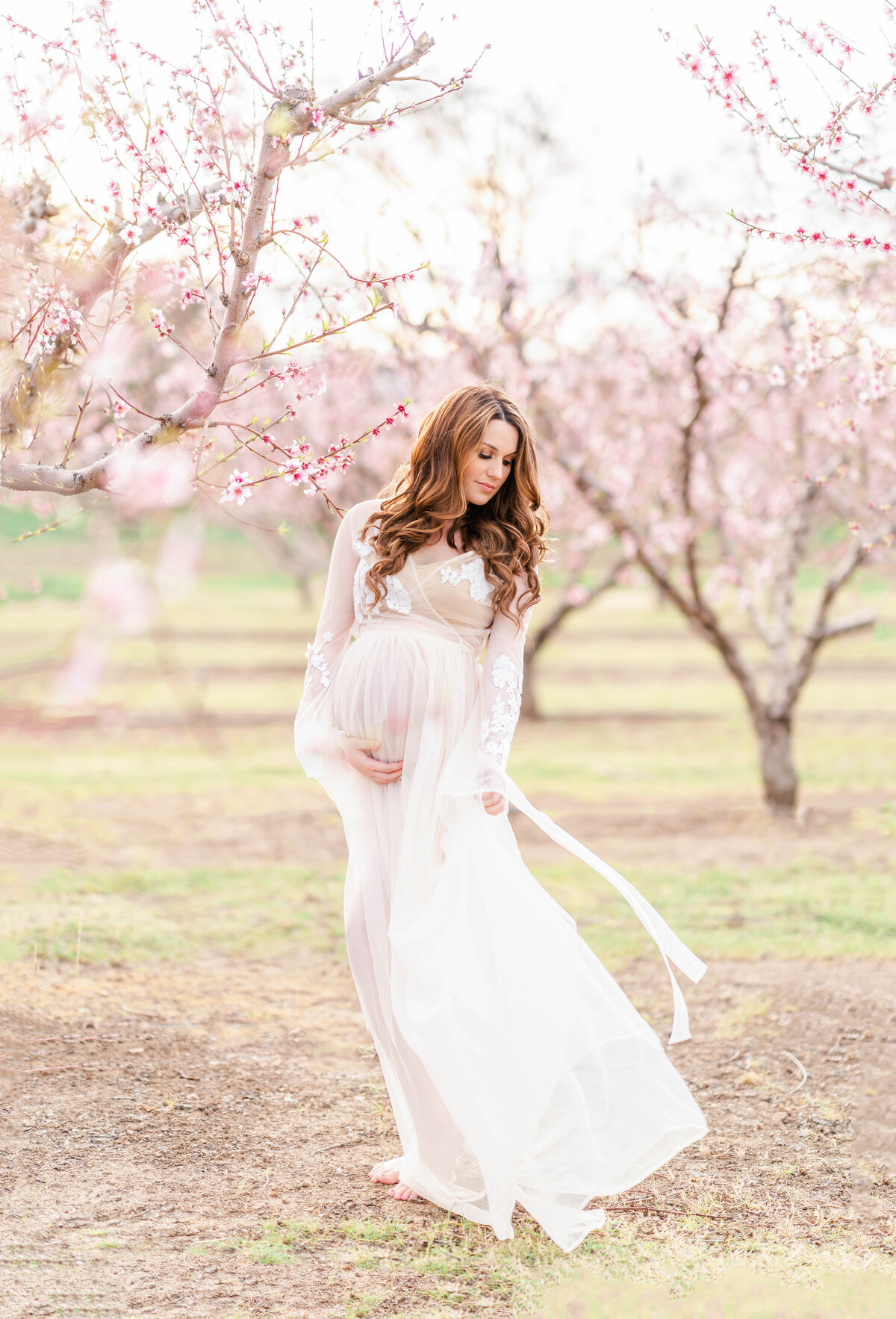 An expecting mother dressed in a white gown stands in a cherry blossom field caressing her beautiful bump photographed by Bay area photographer, Light Livin Photography.