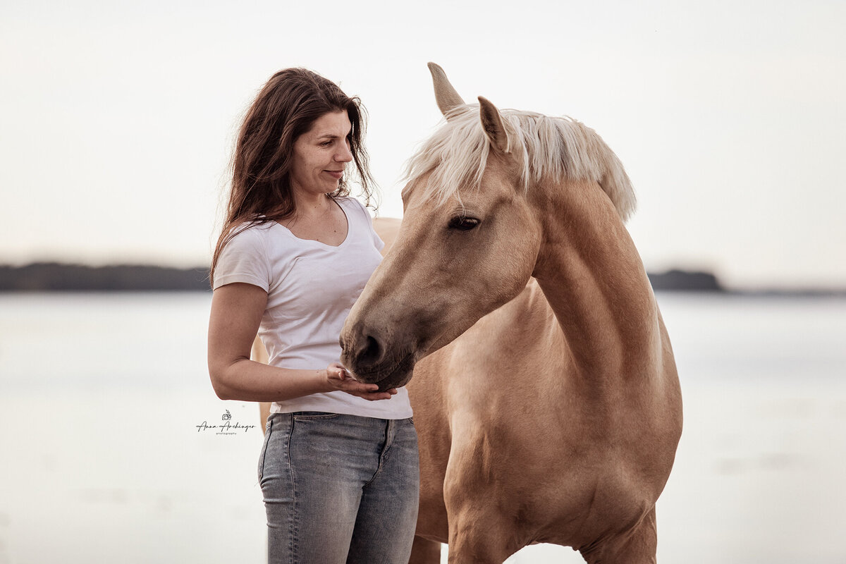 Horse and Human