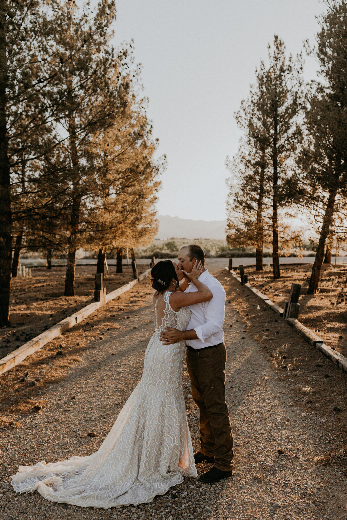 bride and groom kissing between pine trees with the sun setting behind them