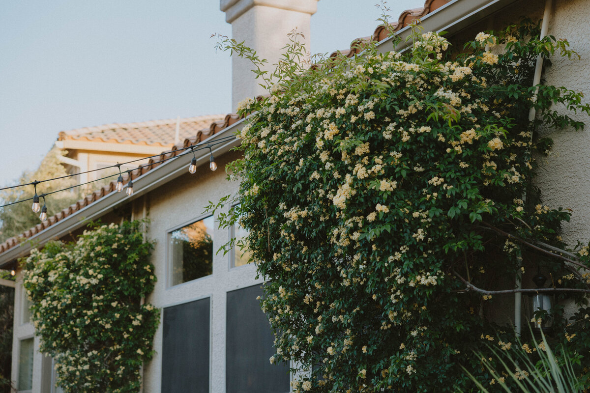 las-vegas-nevada-red-rock-wedding-krysta-timmons-photography-20