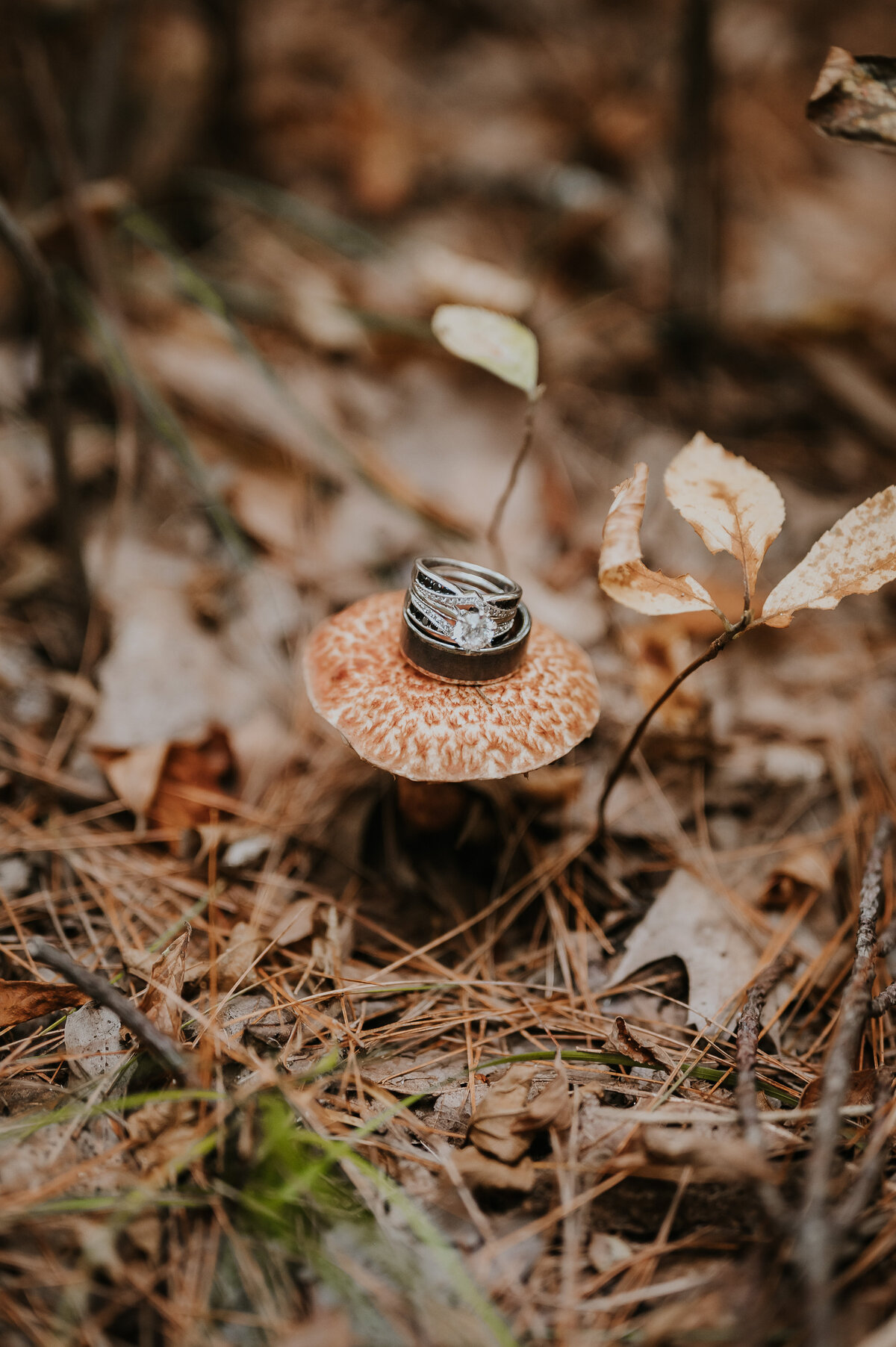 abstillsphotography_weddingelopementphotographer-020