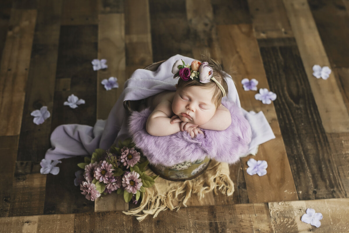 infant photography Salado