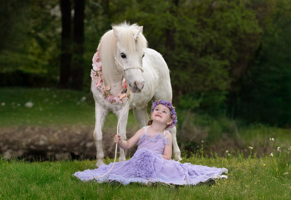 dallas-and-fort-worth-unicorn-portrait-04