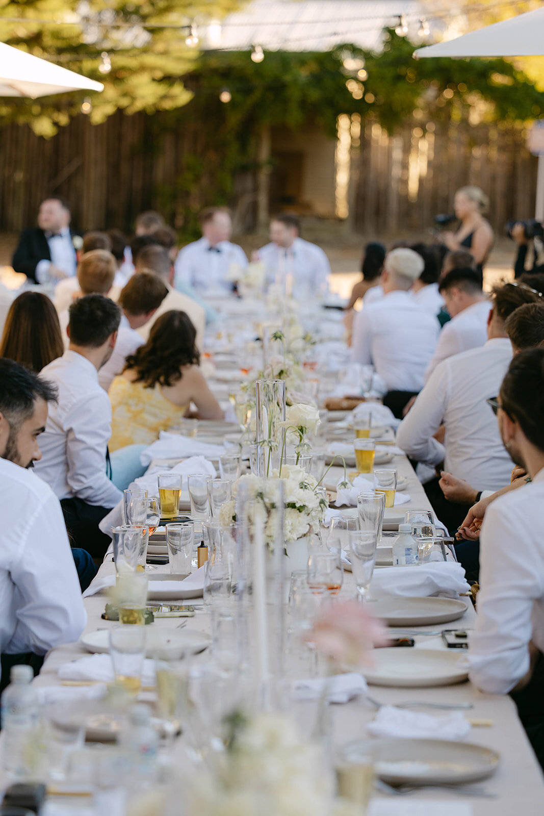 Rach and Max x Ash Haase Photography-1180