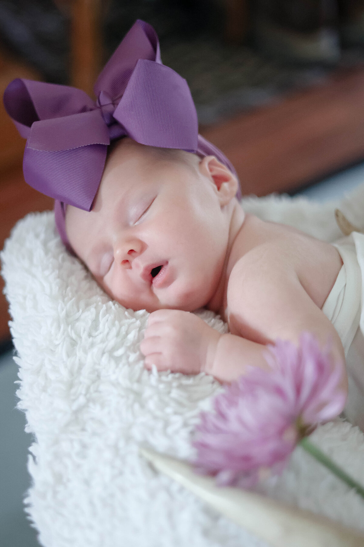 VandertieFamilySession_-25