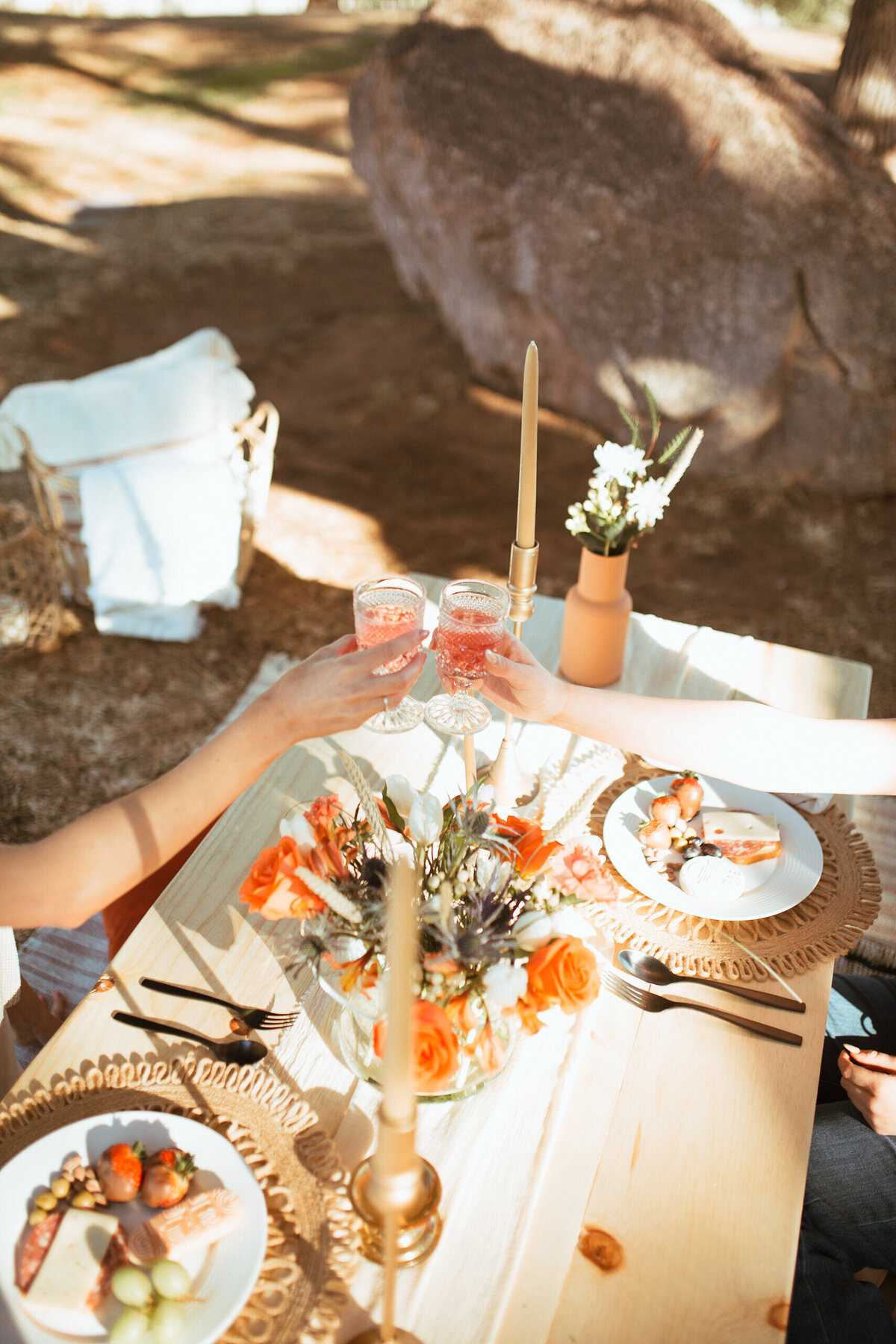 picnics by rae-7314