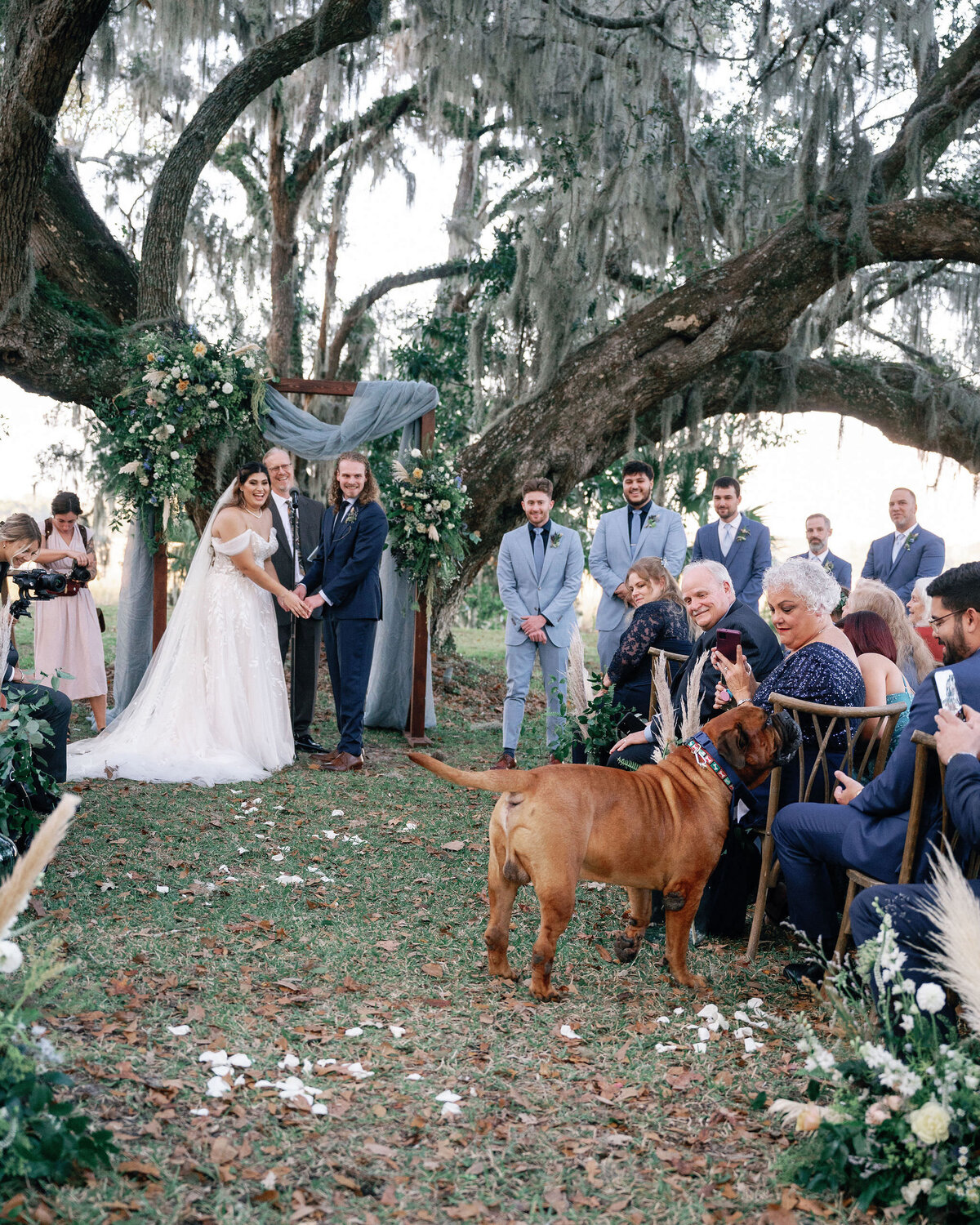 Wedding At Runnymede Plantation, Charleston, SC