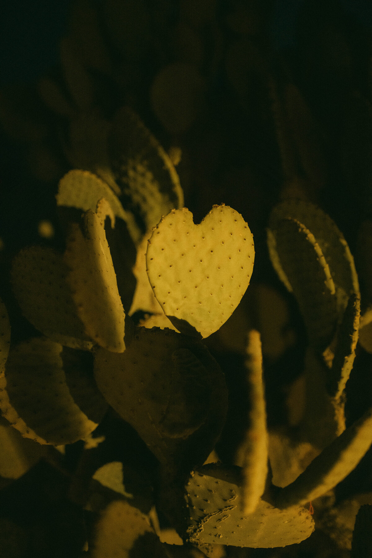 E+C1 (8 of 205)