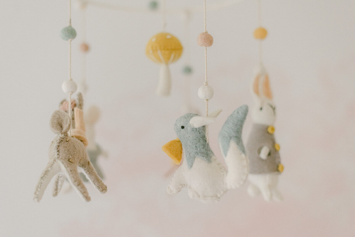phoenix-newborn-photographer-5
