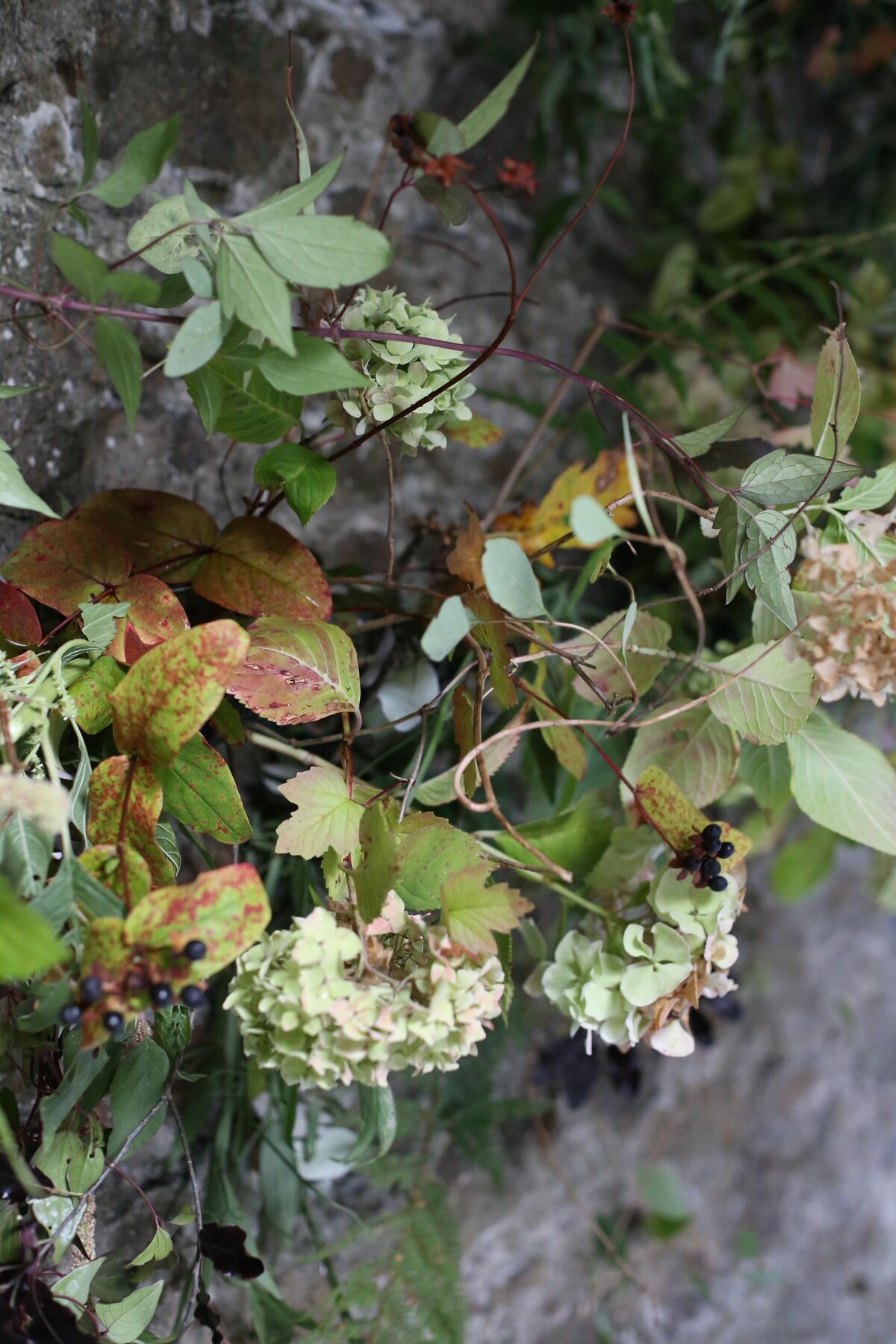 3FB1E00F-3DB0-4BD6-8A7A-5D09C5F914F2