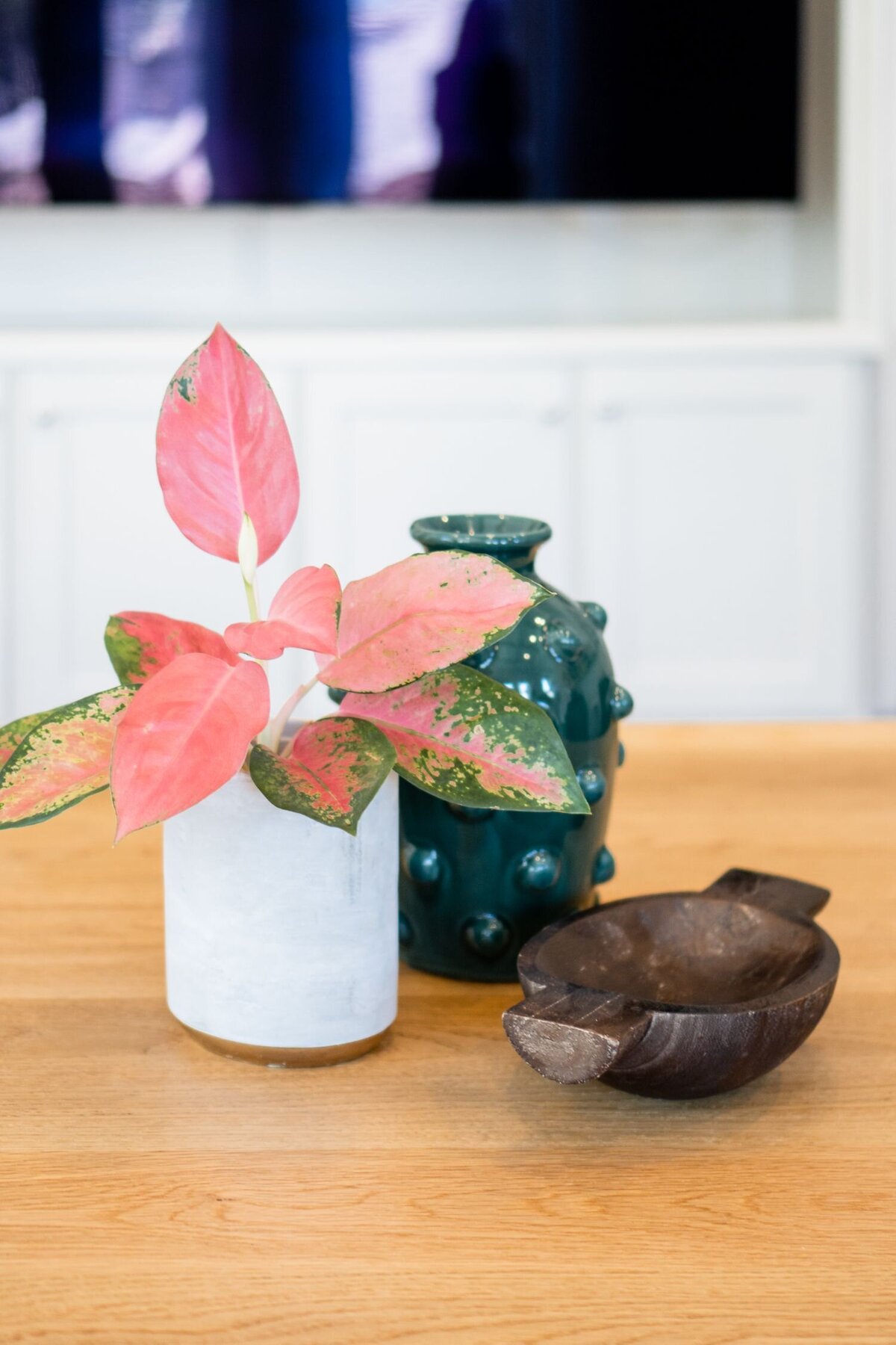 rebekah-nicole-interiors-ember-project-media-room-styling-plant