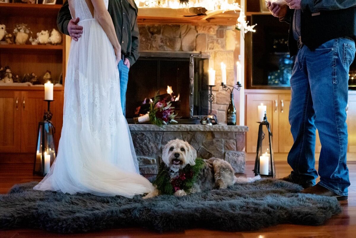 a dog lays at the feet of the bride and groom during their wedding ceremony