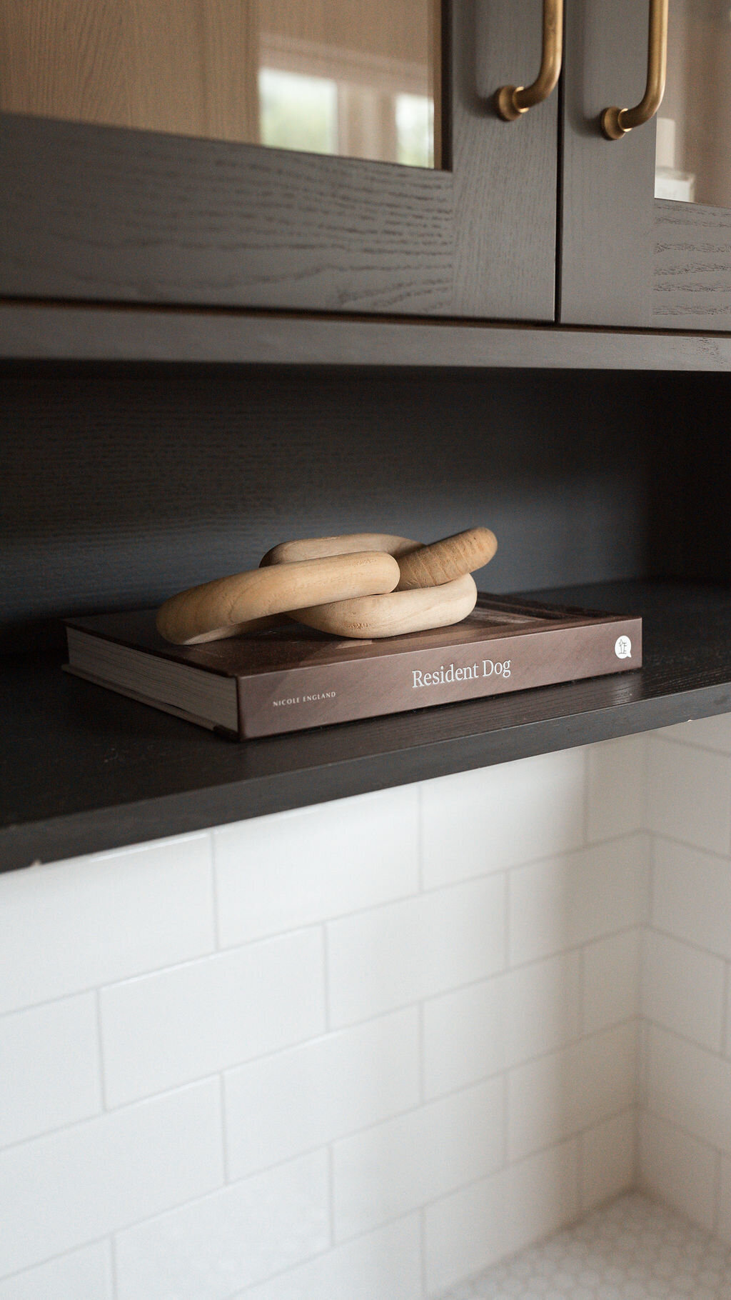 Built-in black cabinets above a modern dog wash station. On the shelves are a book and wooden decor.