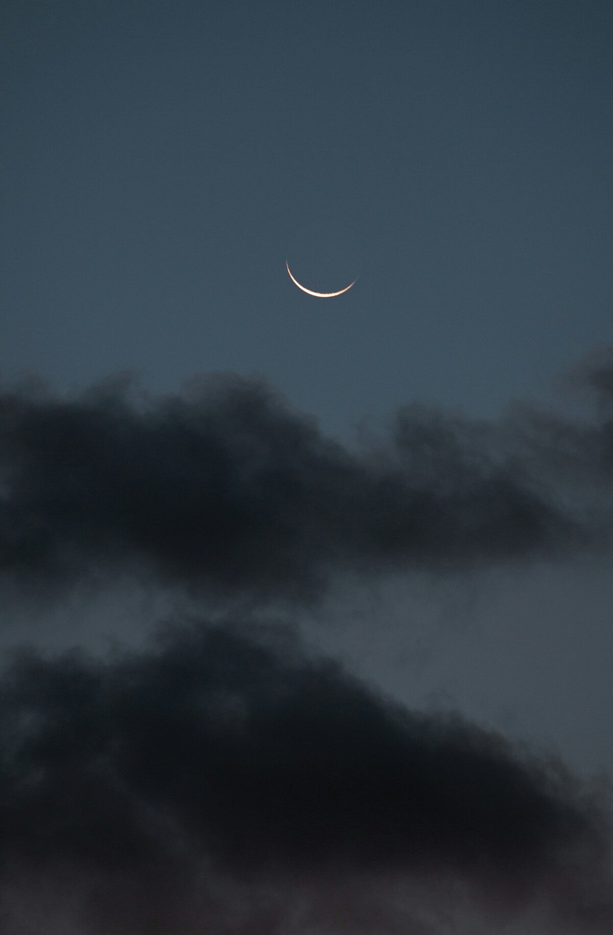 vino-li-pl9BeDmu7Mw-unsplash