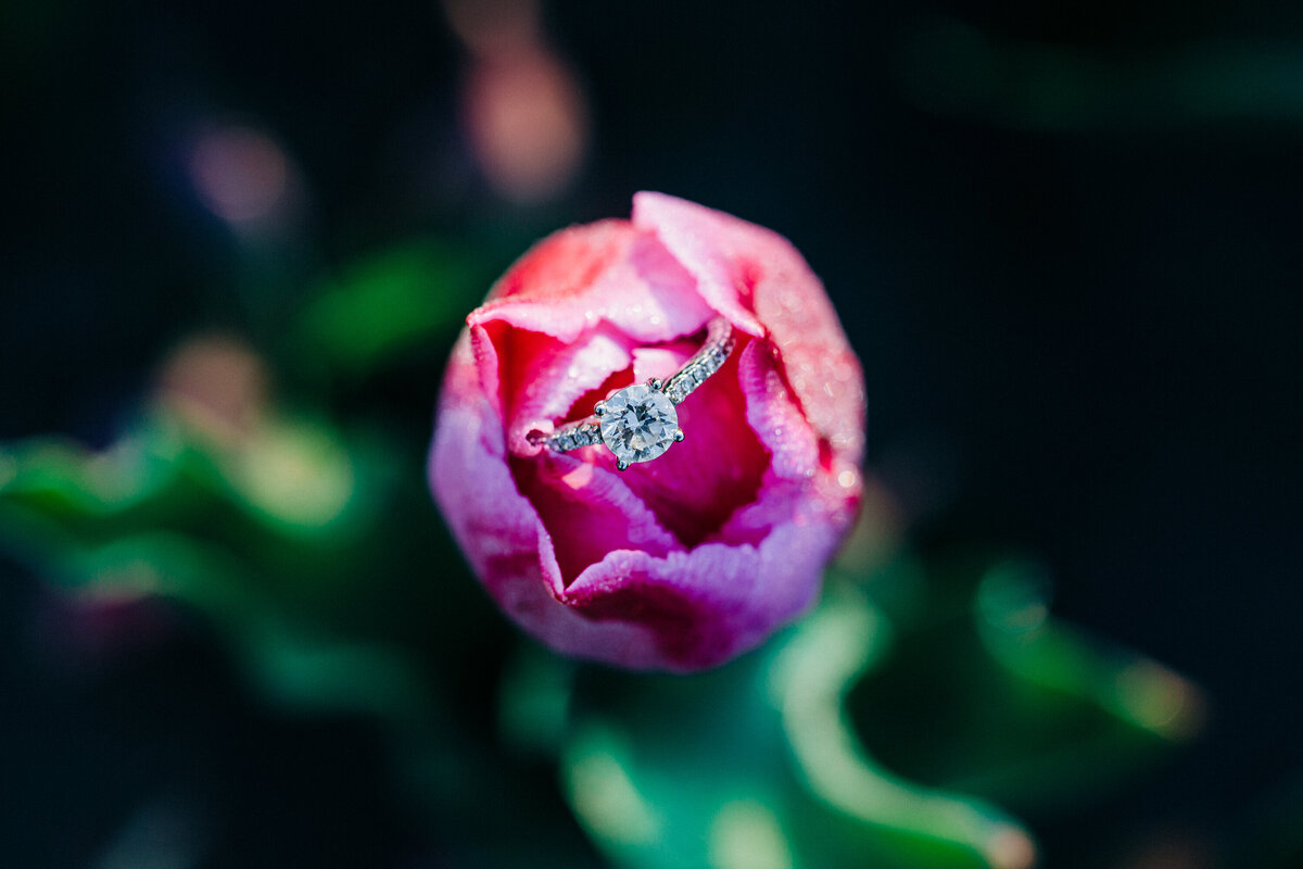 Chilliwack-Tulip-Festival-Engagement-Session-44