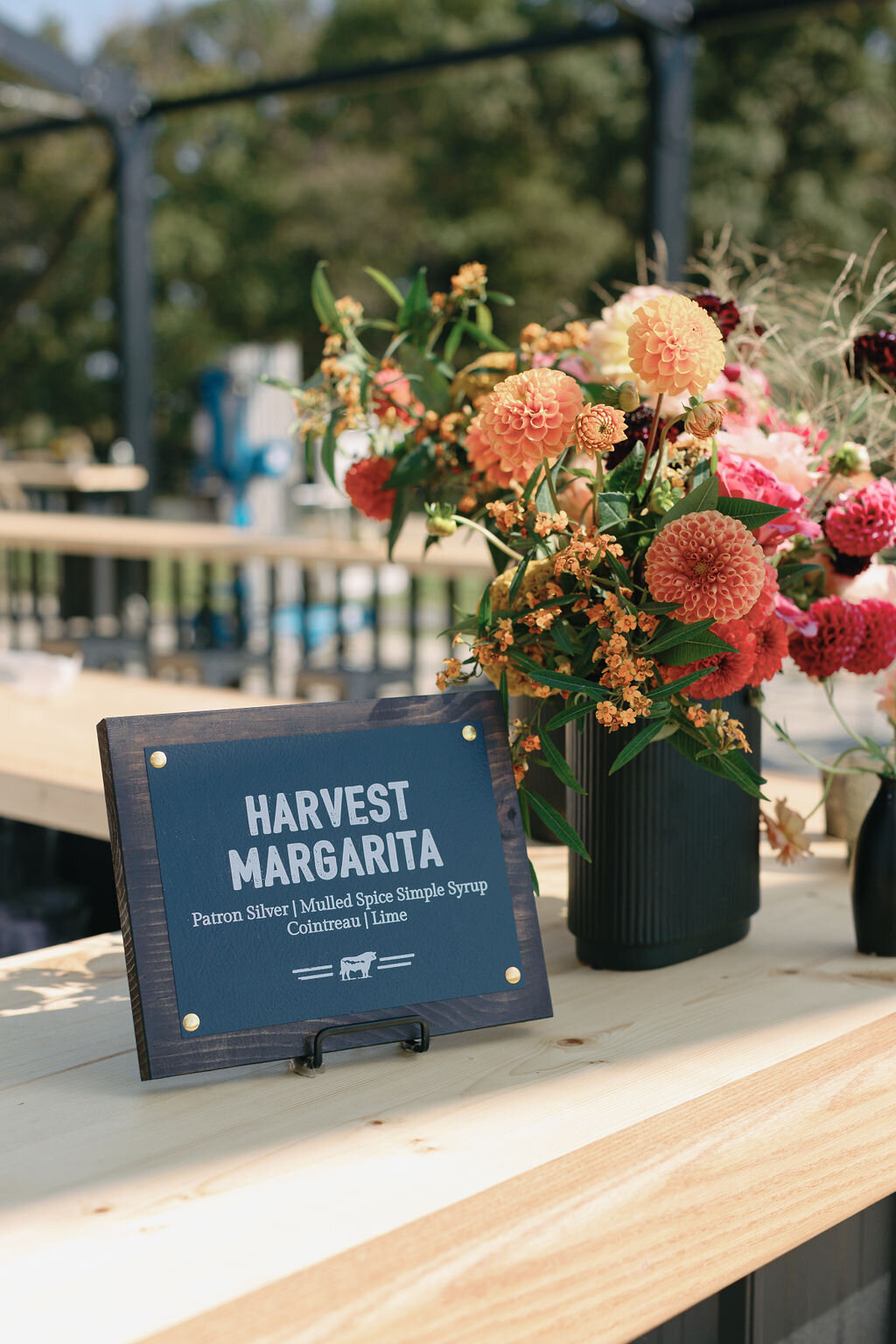 Special-Event-Planner-Bluegrass-Music-Festival-Virginia-0017