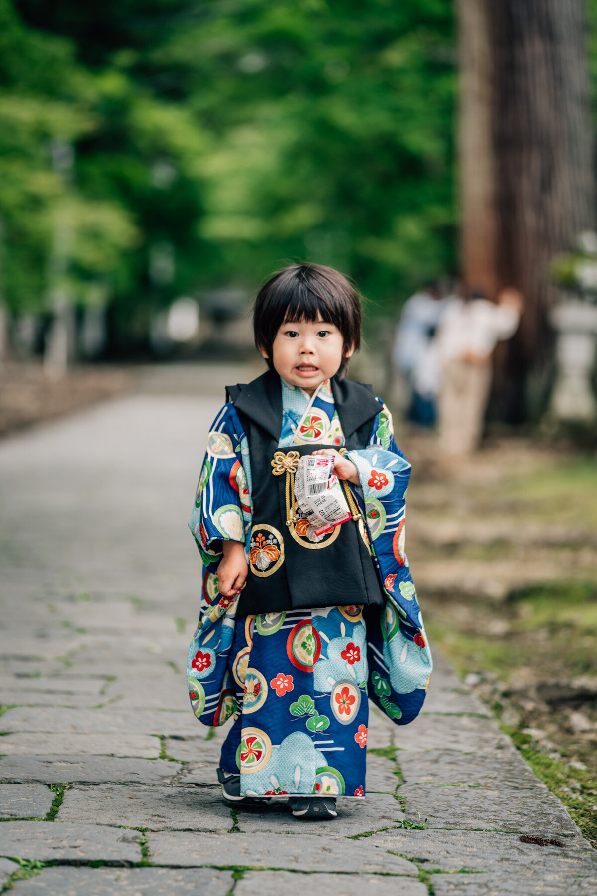 gifu-kiriu-shichigosan-photographer