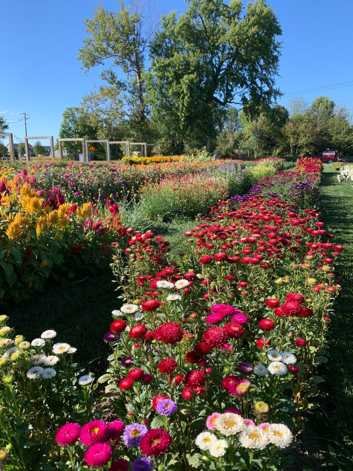 Flower Farm Noblesville | The Bloomery 08