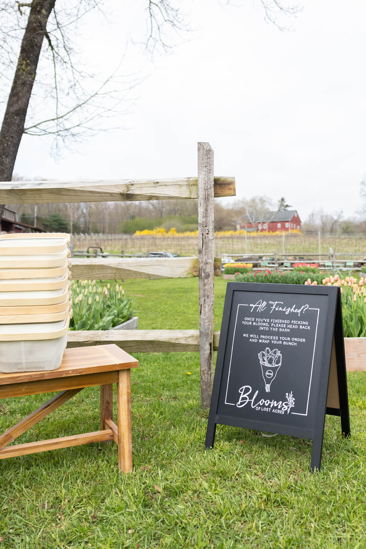 Blooms-Of-Lost-Acres-hand-drawn-signs