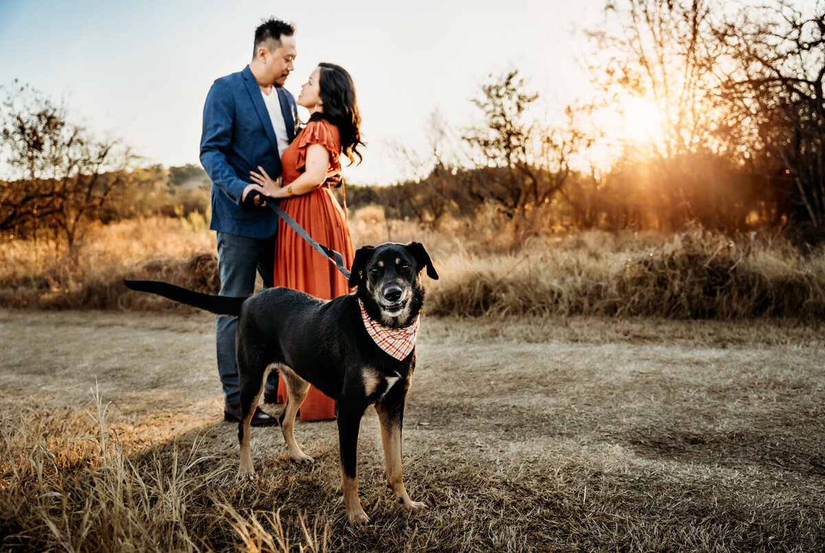 Couples Photography, Man in blue suit and woman in a rust dress kiss in the background of their brown dog, who is looking at the camera.
