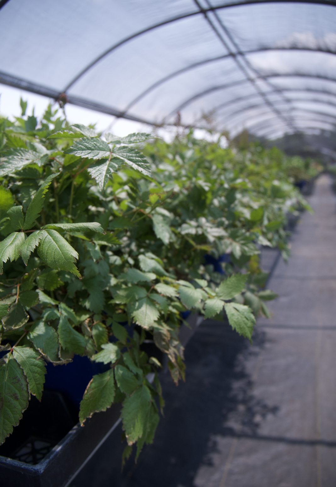 Screenshot 2025-07-21 at 12.21.21 AM