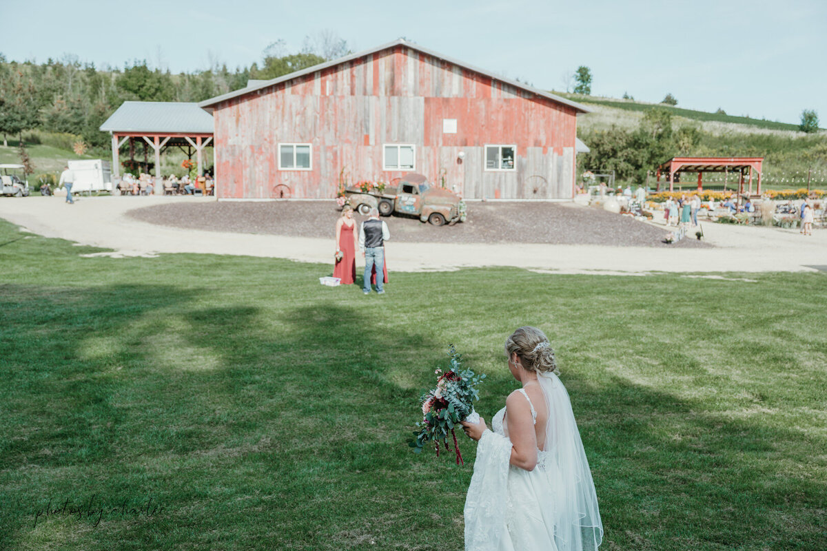 mondovi wedding photographer-83