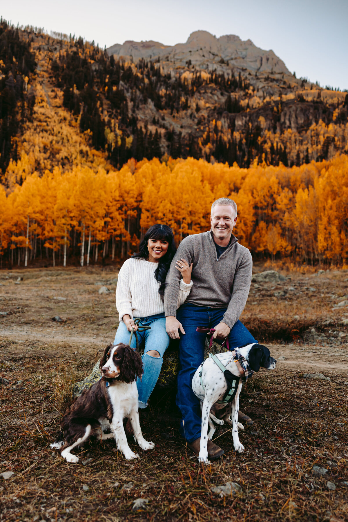 Couple poses with their dogs for a Ouray anniversary session.