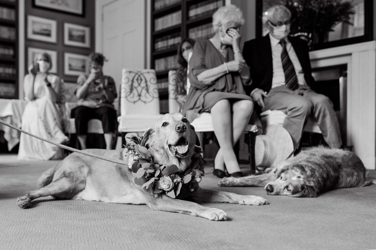 adorlee-0444-goodwood-wedding-photographer