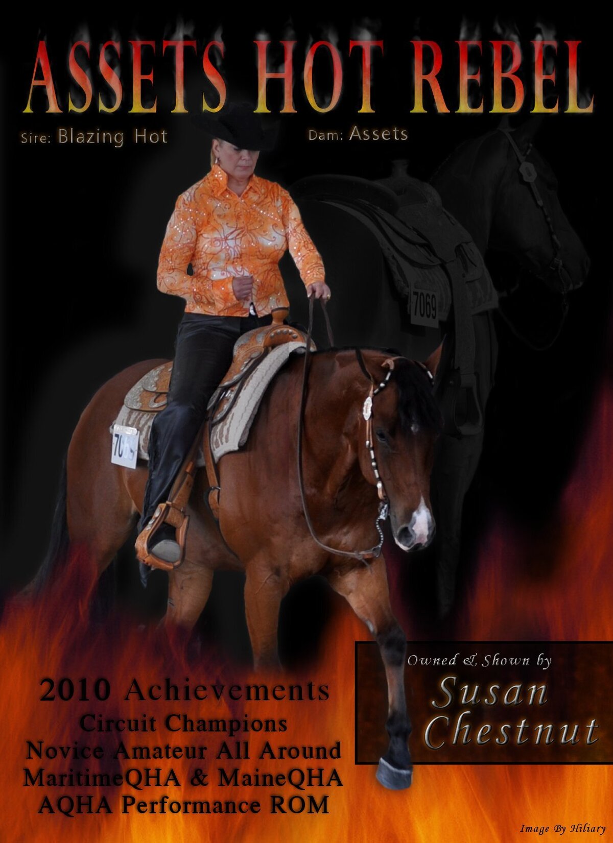 Publication for Susan Chestnut showing her accomplishments with AQHA gelding Asset hot Rebel