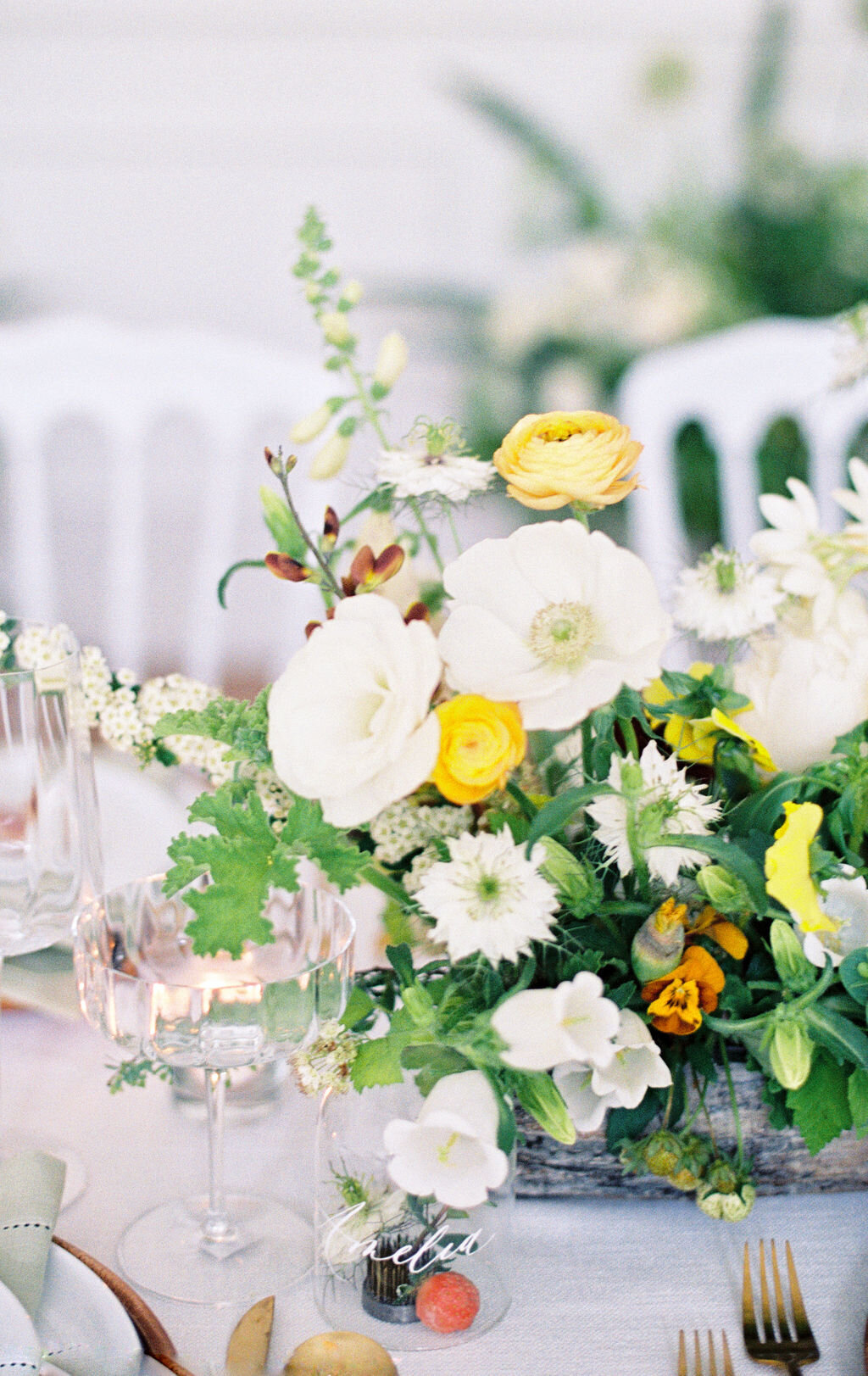 EstherFrederickPhotography260