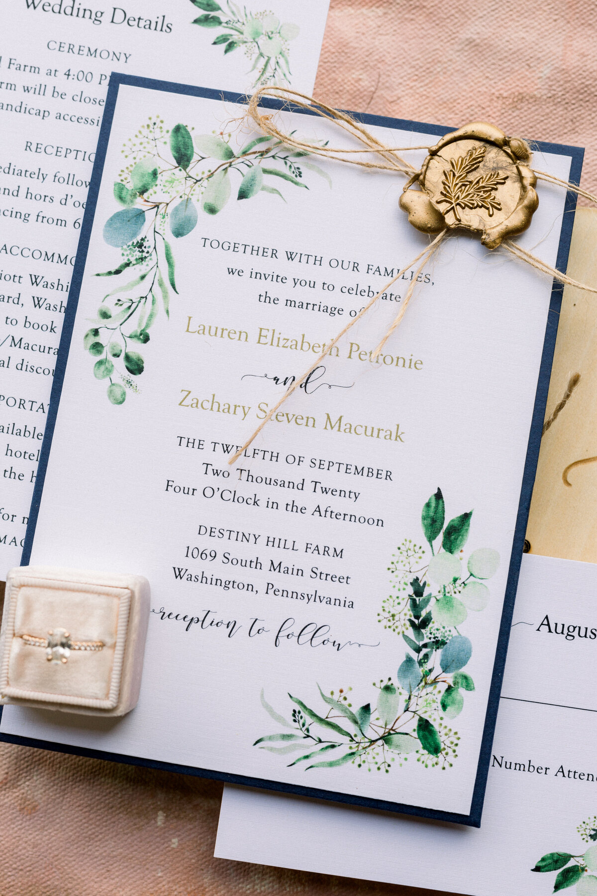 Abbie Tyler Photography (33 of 1264)