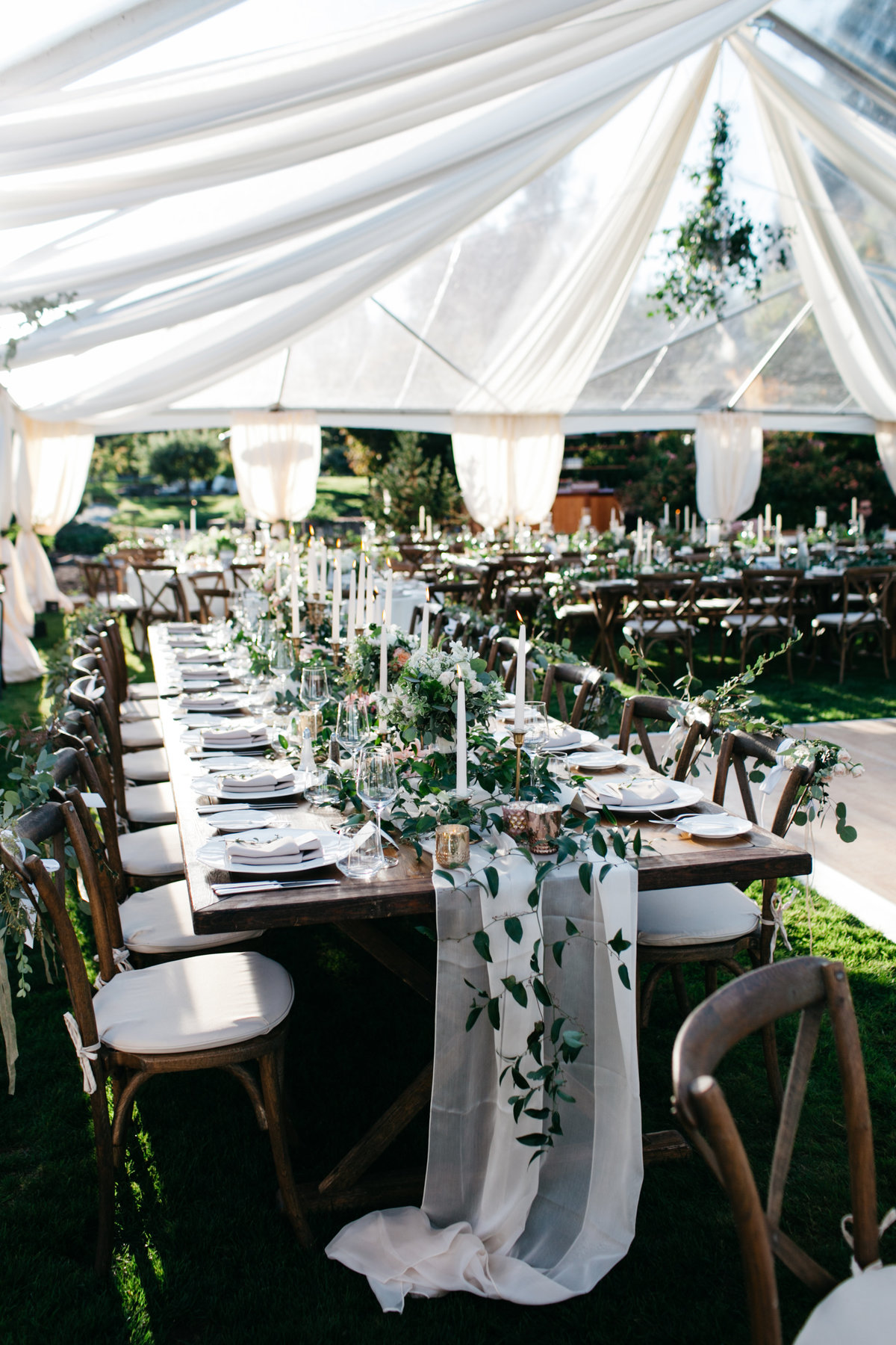 Summer tent wedding by the water filled with sunlight and green vines.