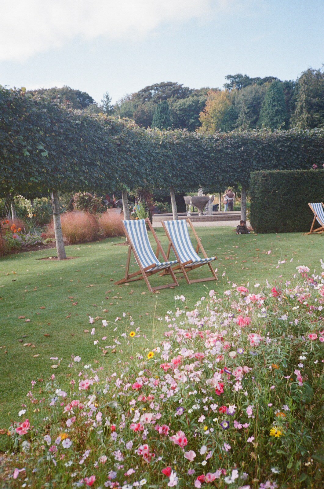 film-wedding-photographer-ireland-35mm-luxury (47)
