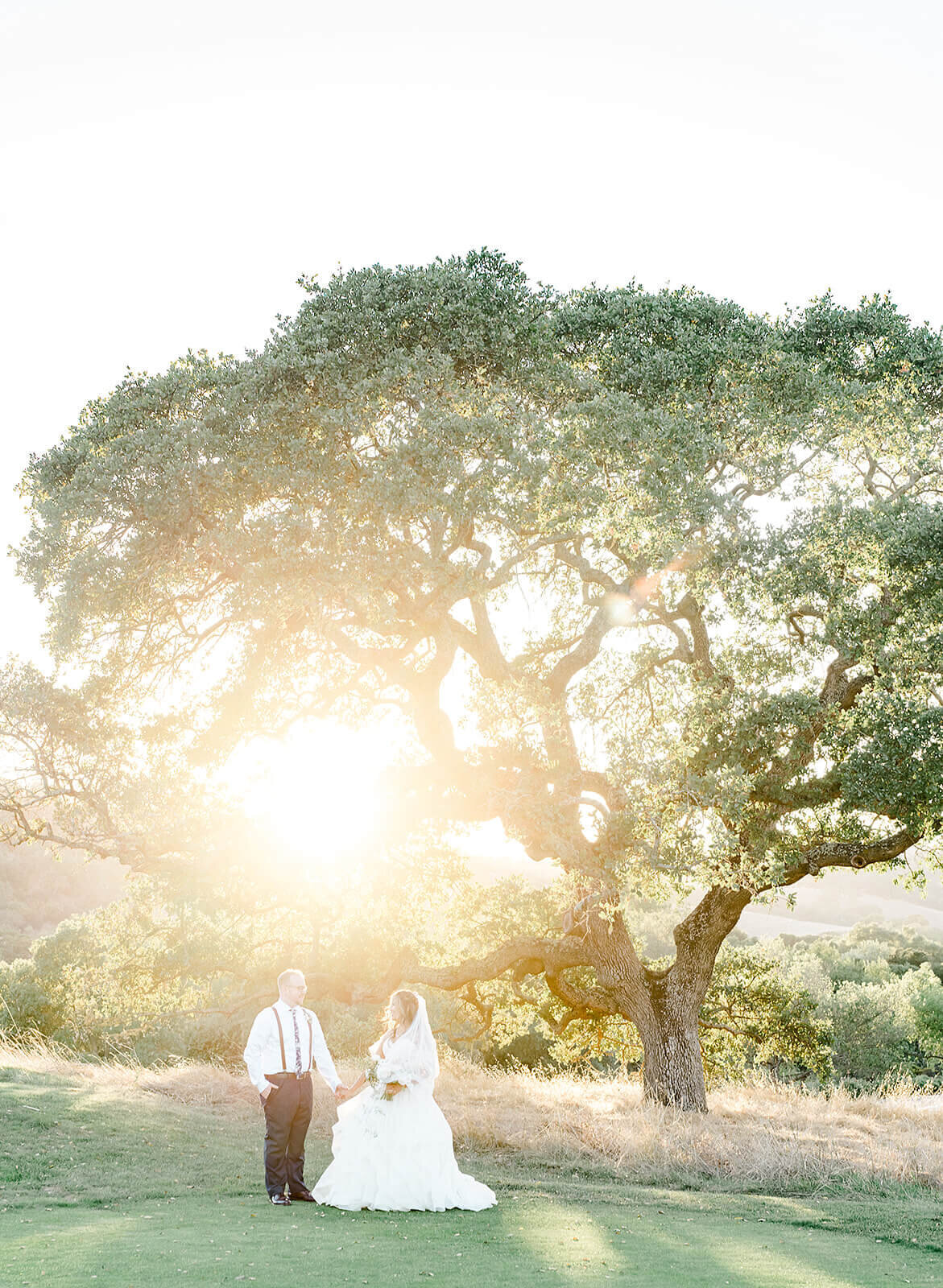 Wedding Portraits captured by Vanessa Montano Photography – Livermore vineyard at sunset.