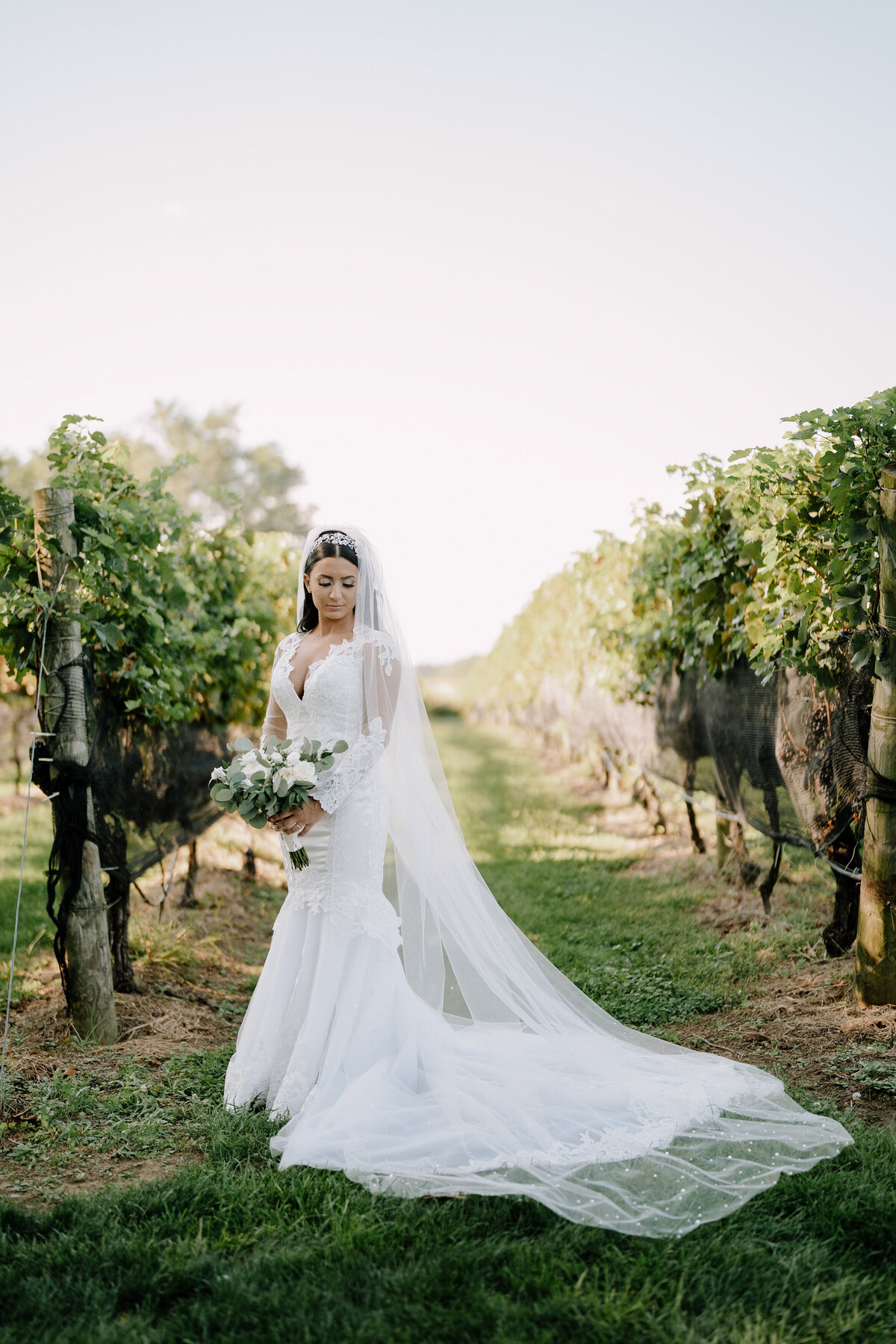 vineyardsataquebogue-1