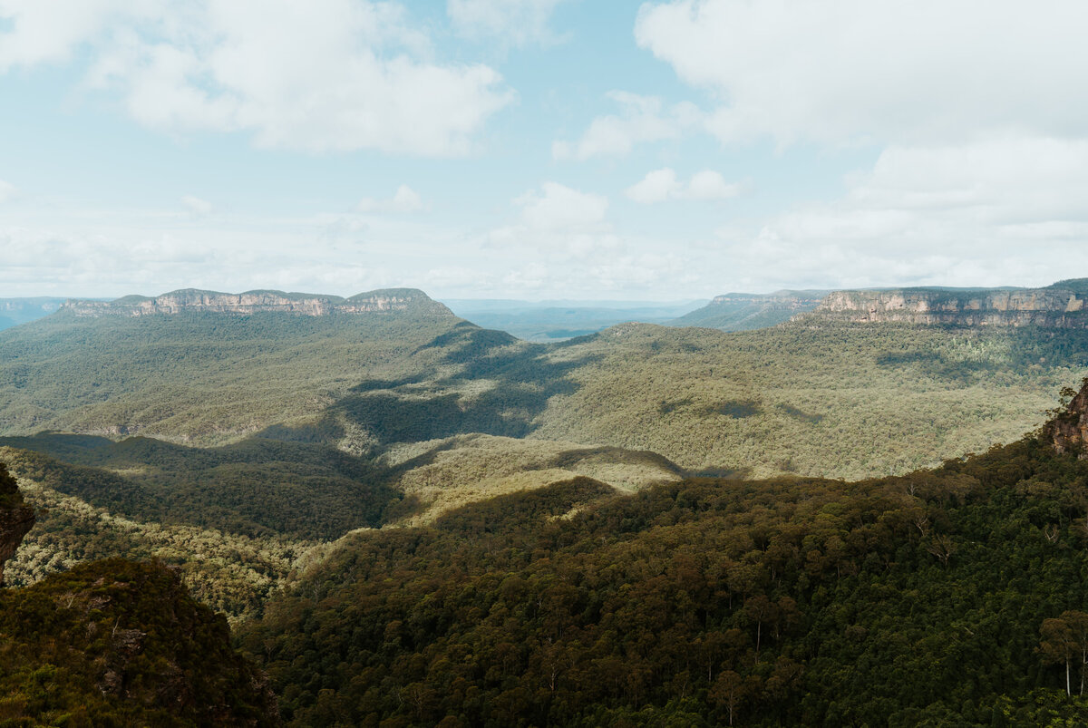 Ash + Puja Blue Mountains Engagement Daisy + Pine Weddings Photography-01307