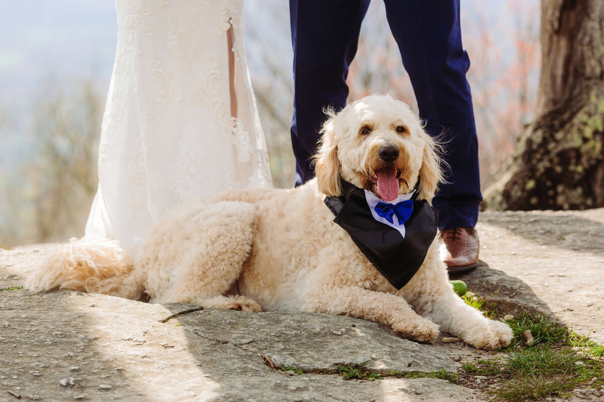 Jump-Offf-Rock-NC-Elopement-52