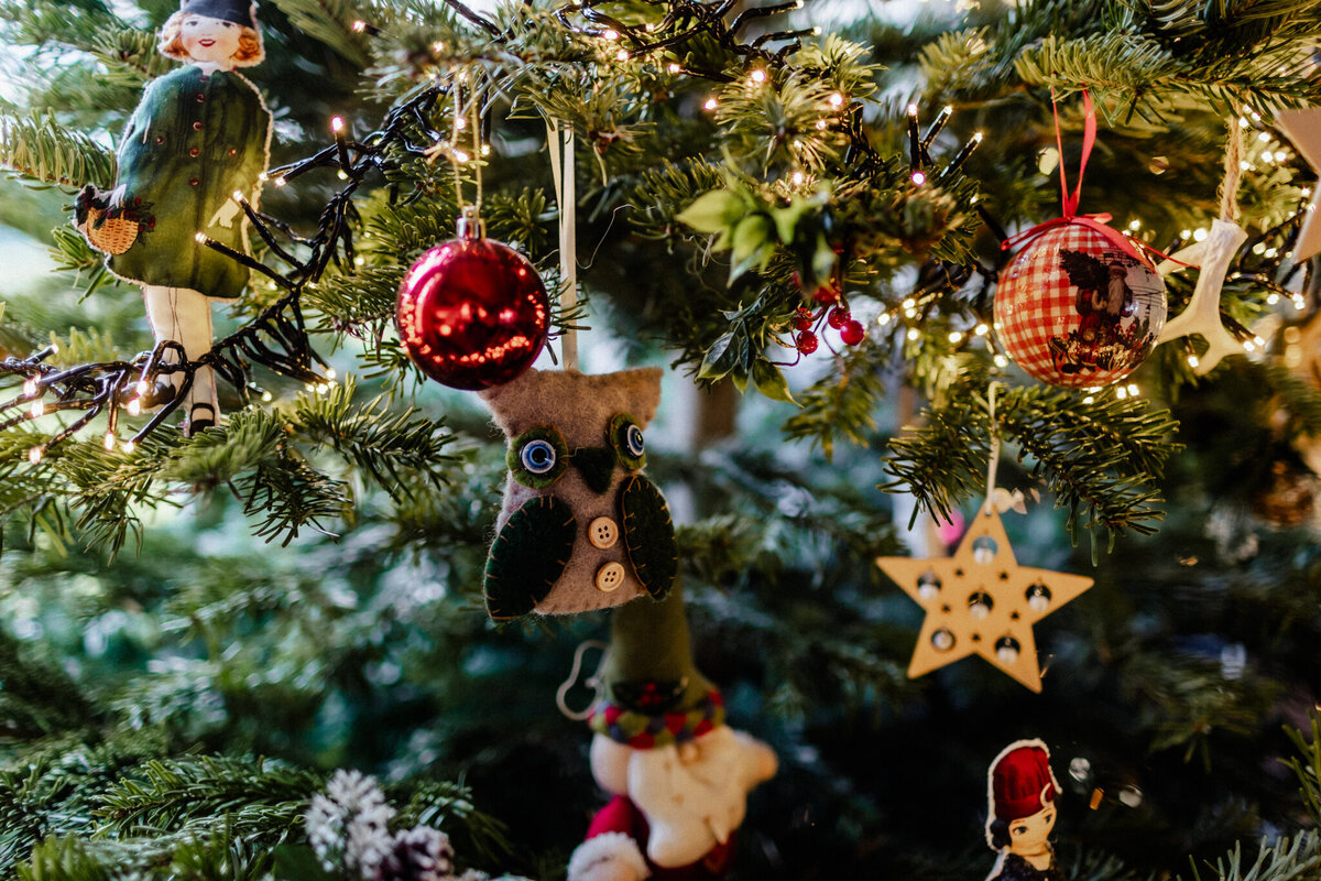 houston-Christmas-mini-sessions-2024-53
