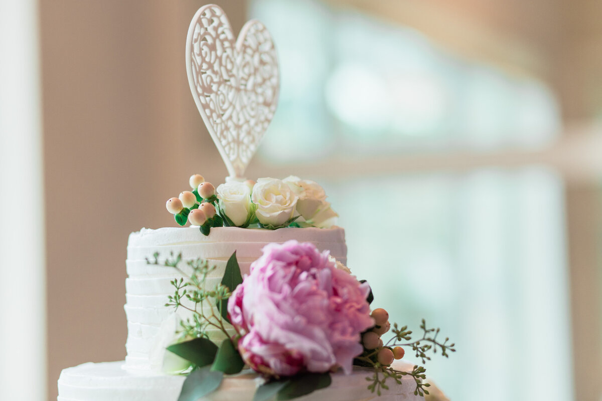 san_antonio_austin_texas_wedding_photographer-hidden_falls-HnA-1119