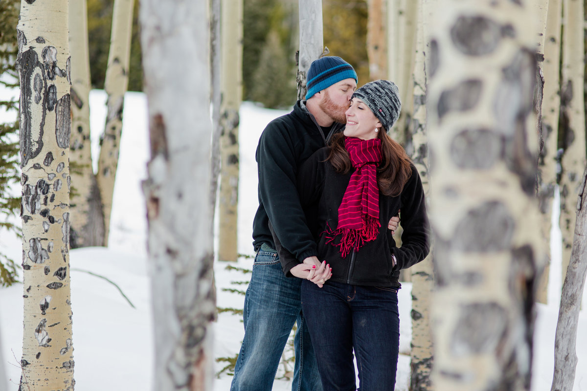 Aspens and birches with winter engagement photos