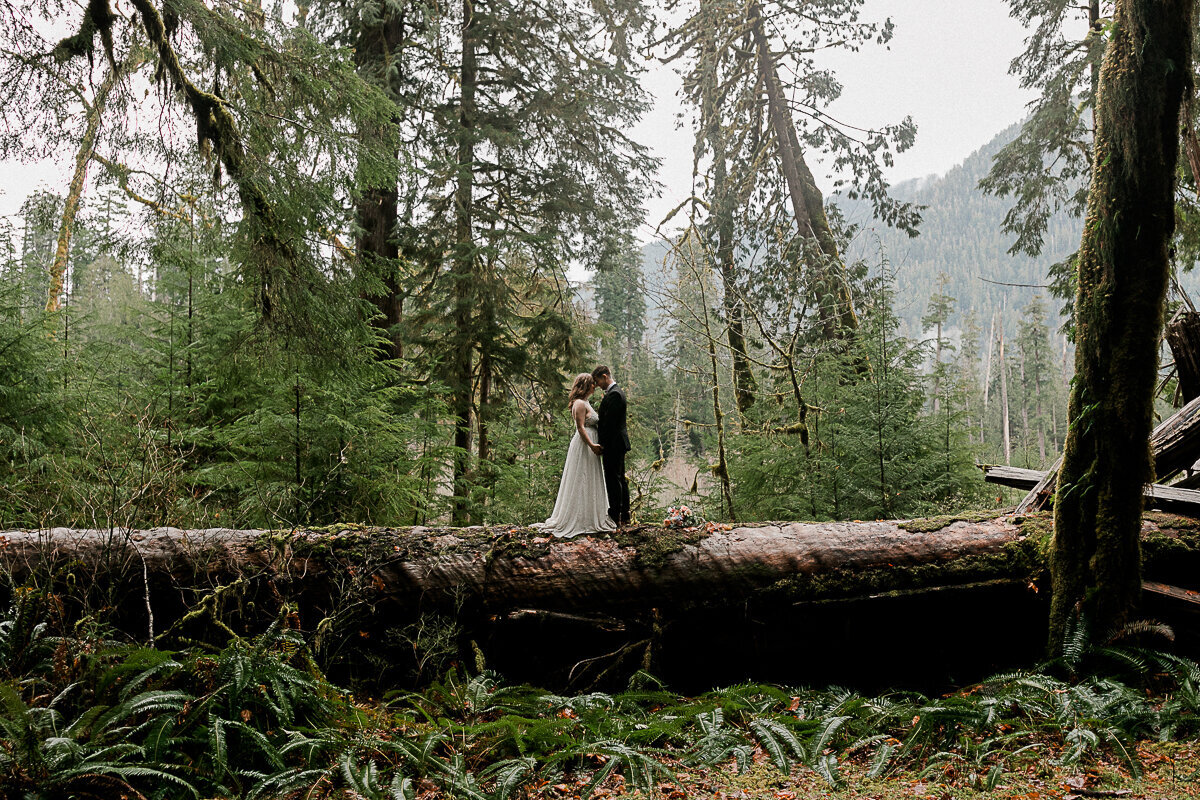 washingtonelopementphotographer-fernacreswedding-forkswashingtonwedding-pnwelopement-54