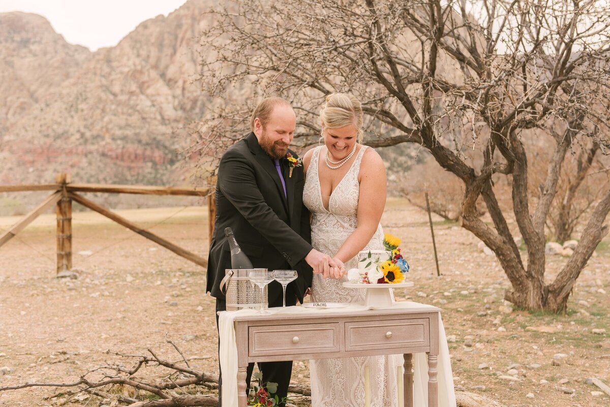 spring mountain ranch wedding