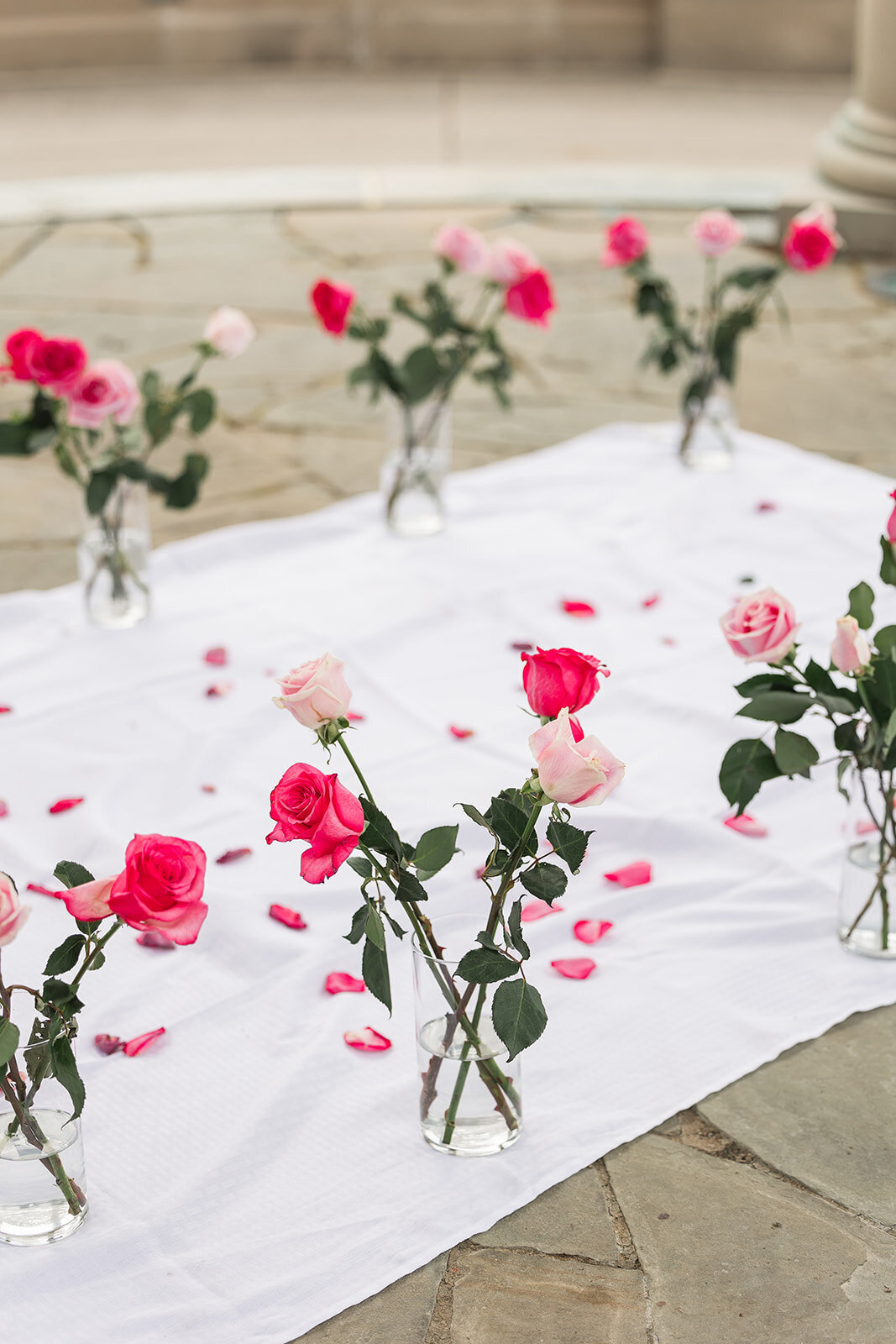 Alexis Fox Photography + Proposal + CoxHall Gardens + Carmel + Indiana (1 of 98)